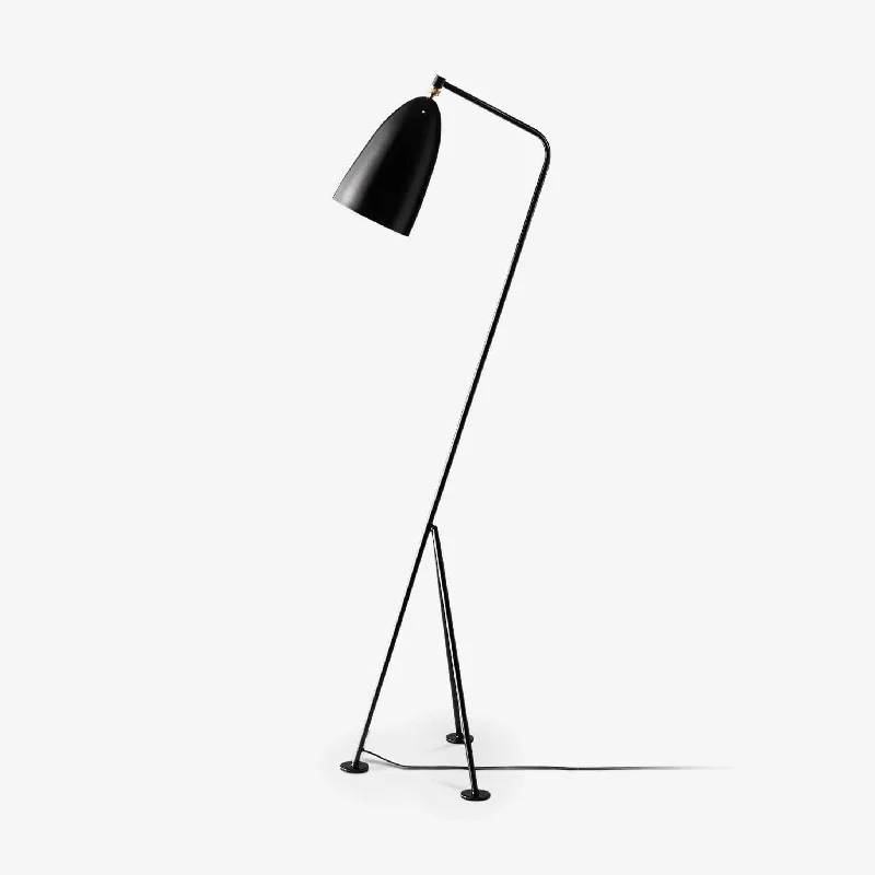 Adjustable Height Floor Lamp for Versatile Lighting NeedsGrasshopper Floor Lamp