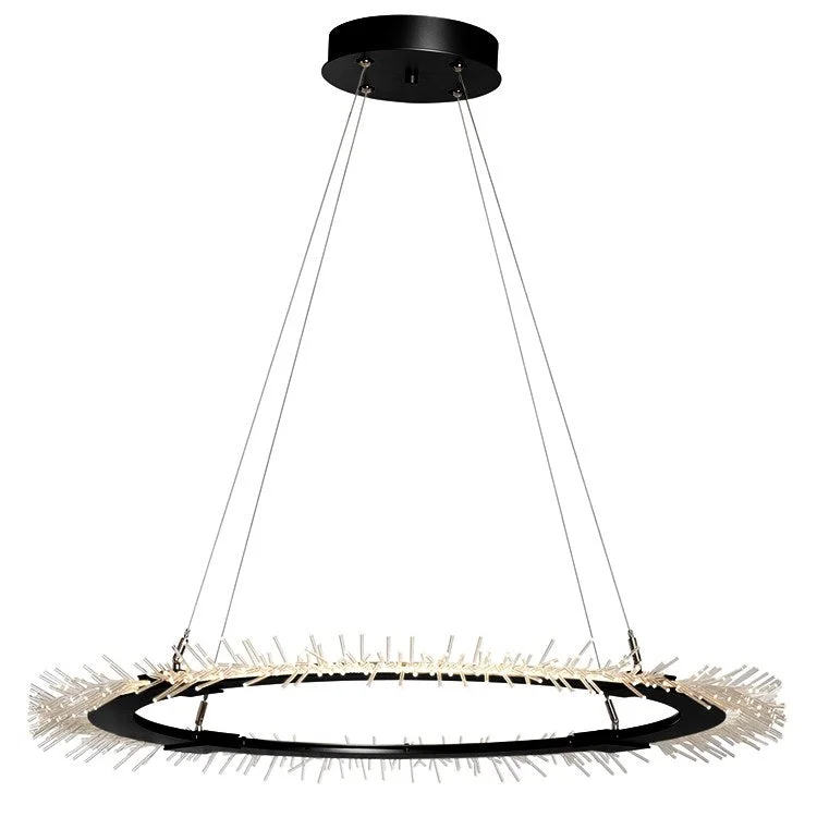 Contemporary Ceiling Lights with Unique, Abstract ShapesAnemone Circular LED Pendant