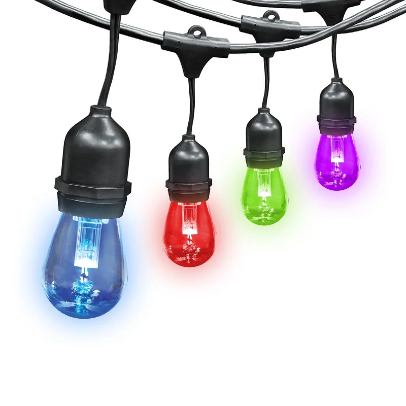 String Lights with Clear Bulbs for a Classic Look24 ft. 8W Color Changing LED String Lights